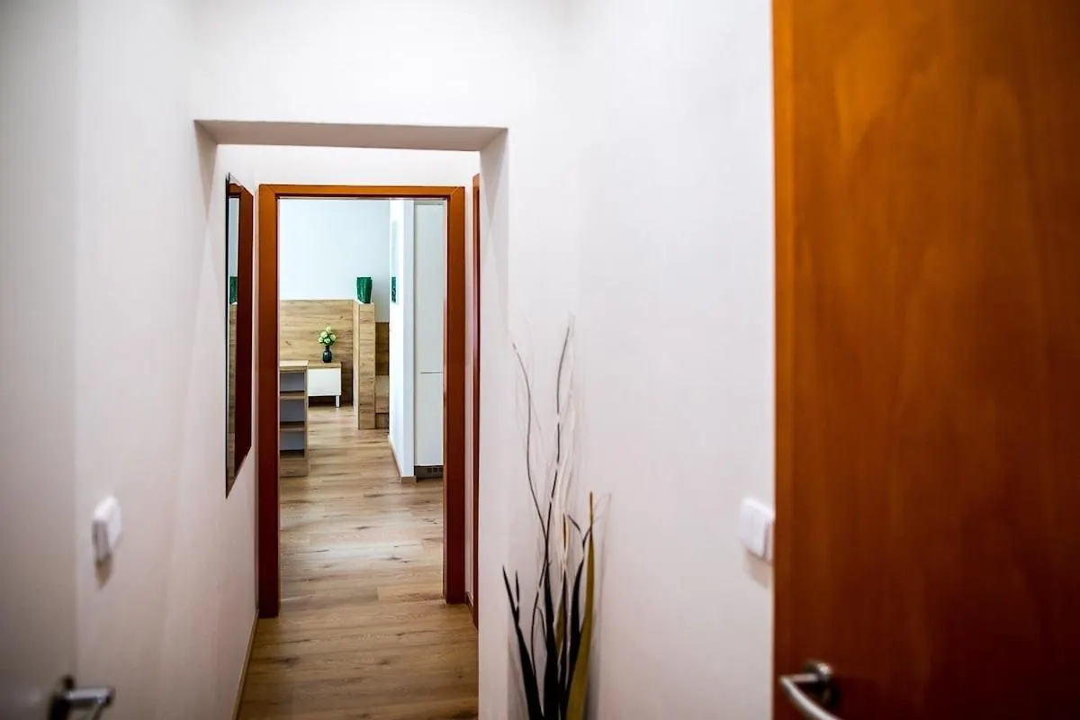 Nest Vibe Slovakova Apartment Brno Czech Republic