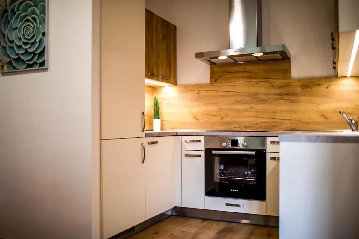 Nest Vibe Slovakova Apartment Brno 0*,